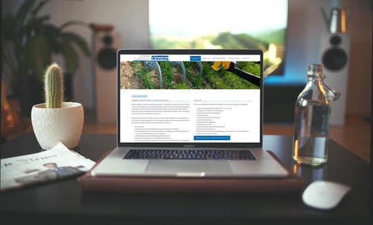 Landwirtschaftliche Hacke zur Beikrautregulierung
